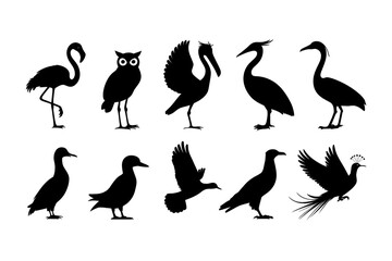 Obraz premium silhouettes of various birds in different poses on a white background, perfect for wildlife-themed designs, nature-inspired artwork, and creative projects celebrating bird diversity. 