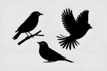 birds perched on branches and flying in artistic black silhouette style, symbolizing freedom, nature, and wildlife, perfect for decorative and natural themes