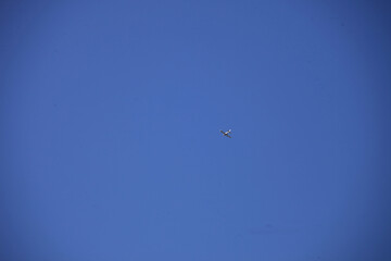 High up against the blue sky, we see a lone white plane.
