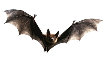 Obraz premium A Majestic Bat Soaring in a Blank Canvas Sky. White or PNG Transparent Background.