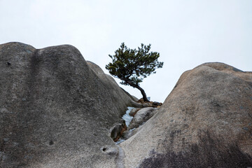 도봉산 여성봉