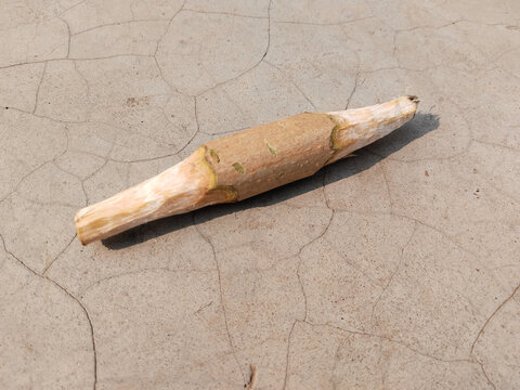 Gilli Danda is also known as Billarda, B&ograve;lit, Pati-kubra, Lippa,ḍāṅguli khelā and Klipa in Spain, Catalonia, Philippines, Italy ,Bangladesh and Poland.