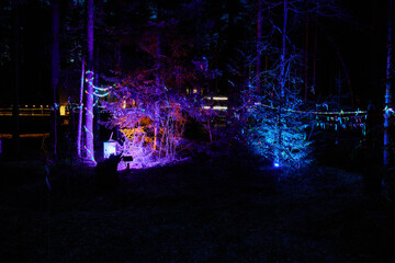 A Vivid and Vibrant Nighttime Forest Scene Adorned with Beautifully Colored Lights and Shadows