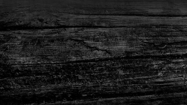 BW Shake  Vibrate 4K camera shutter slide effect transition video. loop animation of Outdoor Material in grunge background Abstract grainy texture wall, plaster concrete wood coral fabric tree bark