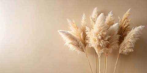 A cluster of delicate pampas grass plumes, arranged in a vase, stand out against a warm beige background.