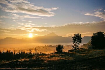 sunset in the forest