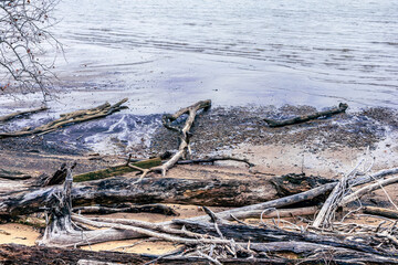 Mount Vernon Trial - Old Town - Alexandria