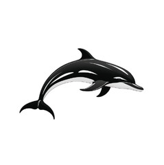 A silhouette black and white dolphin with white background