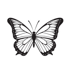 A silhouette black and white Big butterfly icon