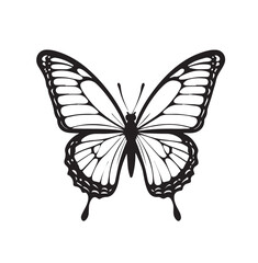 A silhouette black and white Big butterfly icon