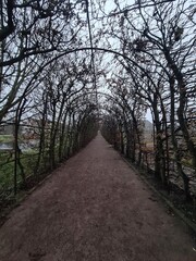 Obraz premium Baumpfad im Winter auf dem Gartengelände des Güstrower Schlosses