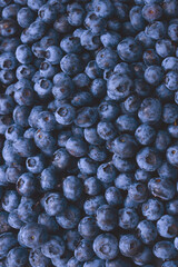 Fresh blueberry background. Texture blueberry berries close up.