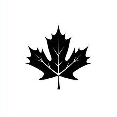 Black Silhouette Of A Maple Leaf Design