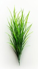 Fototapeta premium Vibrant Green Grass Bunch: A Lush Decorative Plant for Home Decor