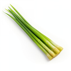 Fresh Green Garlic Scapes Bunch Isolated White Background
