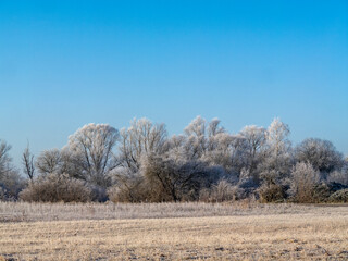 Winter landscape near Hohenbrunn in Germany.
