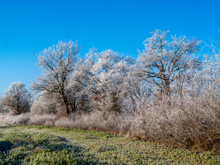 Winter landscape near Hohenbrunn in Germany.