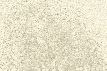 ブツブツとした爬虫類の革のような細かい亀甲模様の入った淡いアイボリーベージュ色のイメージテクスチャー © SAIGLOBALNT