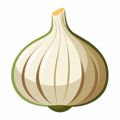 garlic isolated vector design