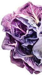 Obraz premium A Stunning Close-up of a Vibrant Purple Vegetable Leaf, Capturing the Exquisite Details and Colors of Nature's Art