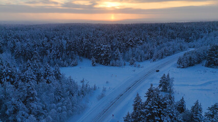 Naklejka premium The car is driving along the road in a snow-covered white spruce forest at sunset