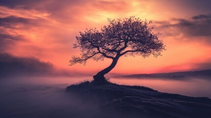 Naklejka premium A tree is silhouetted against an orange sky