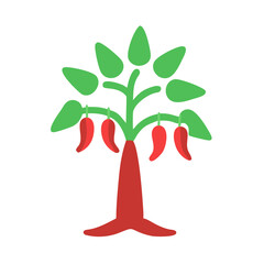 chili tree