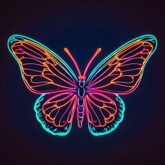 Butterfly on black background