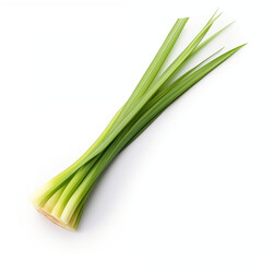 Fresh Pandan Leaves Bundle Isolated White Background