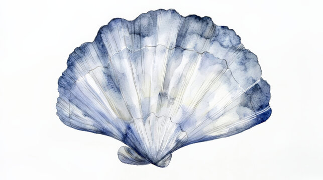 Minimalist gray blue watercolor shell illustration, perfect for decor