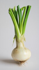 Close-up of a Fresh Onion with its Roots and Green Stems; A Fresh, Organic Vegetable; Perfect for Cooking; A Healthy and Delicious Food Choice; A Simple and Natural Food Photography