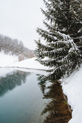 A snowcovered tree, majestic and elegant, stands beside a serene, peaceful lake, together forming a captivating winter scene that enchants every observer who lays their eyes upon it
