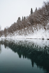 In the enchanting beauty of winter, a serene snowy forest quietly reflects upon a tranquil, icy lake, forming a breathtaking scene that truly captures the magical essence of this season