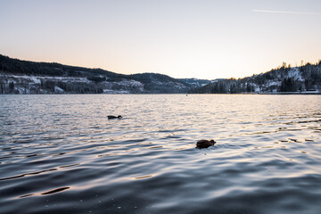 Naklejka premium The Winterlakes in Germany before and during the golden hour period. Winter travel by the lake in Germany 