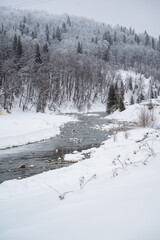 Imagine a beautiful river flowing gracefully through a snowy forest, where the trees are blanketed in a thick layer of soft, white snow, creating a serene winter wonderland atmosphere