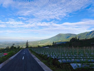 a picturesque agricultural landscape. In the foreground, rows of neatly planted crops stretch across a field, with small plants growing under protective plastic sheeting. Bamboo sticks provide support