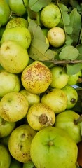 Guava fruit in a market