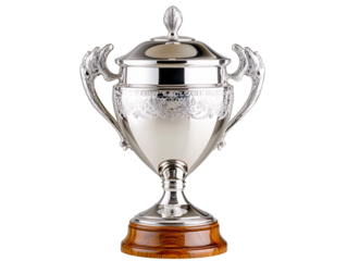 Isolated Silver Trophy Cup with Detailed Design and Wooden Base