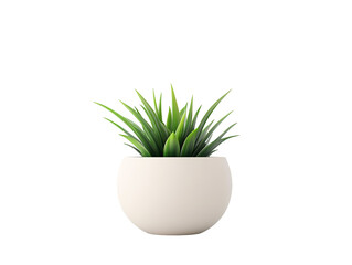 Isolated Green Plant in White Pot