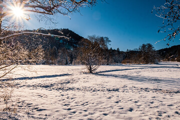 Landscape in Winter around Titisee in southeren Germany 