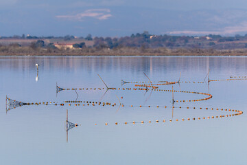 fisherman's net on a lake in the morning light