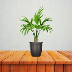 Flower pot on table