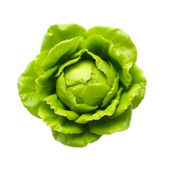 Obraz premium Lettuce isolated transparent background