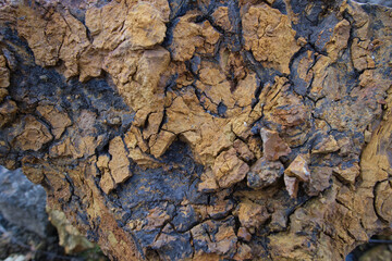 Ungvarit. soft, brittle, yellow stone, variety of opal close-up