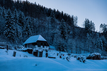 Landscape in Winter around Titisee in southeren Germany 