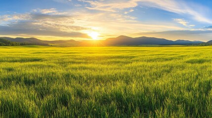 Fototapeta premium Panoramic Countryside Landscape with Soft Light