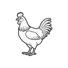  hen line art and silhouettes of hen chicken. vector Illustration