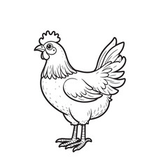  hen line art and silhouettes of hen chicken. vector Illustration