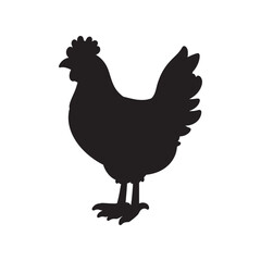  hen line art and silhouettes of hen chicken. vector Illustration
