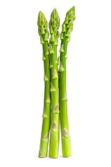 Fototapeta premium Green fresh asparagus isolated on white background